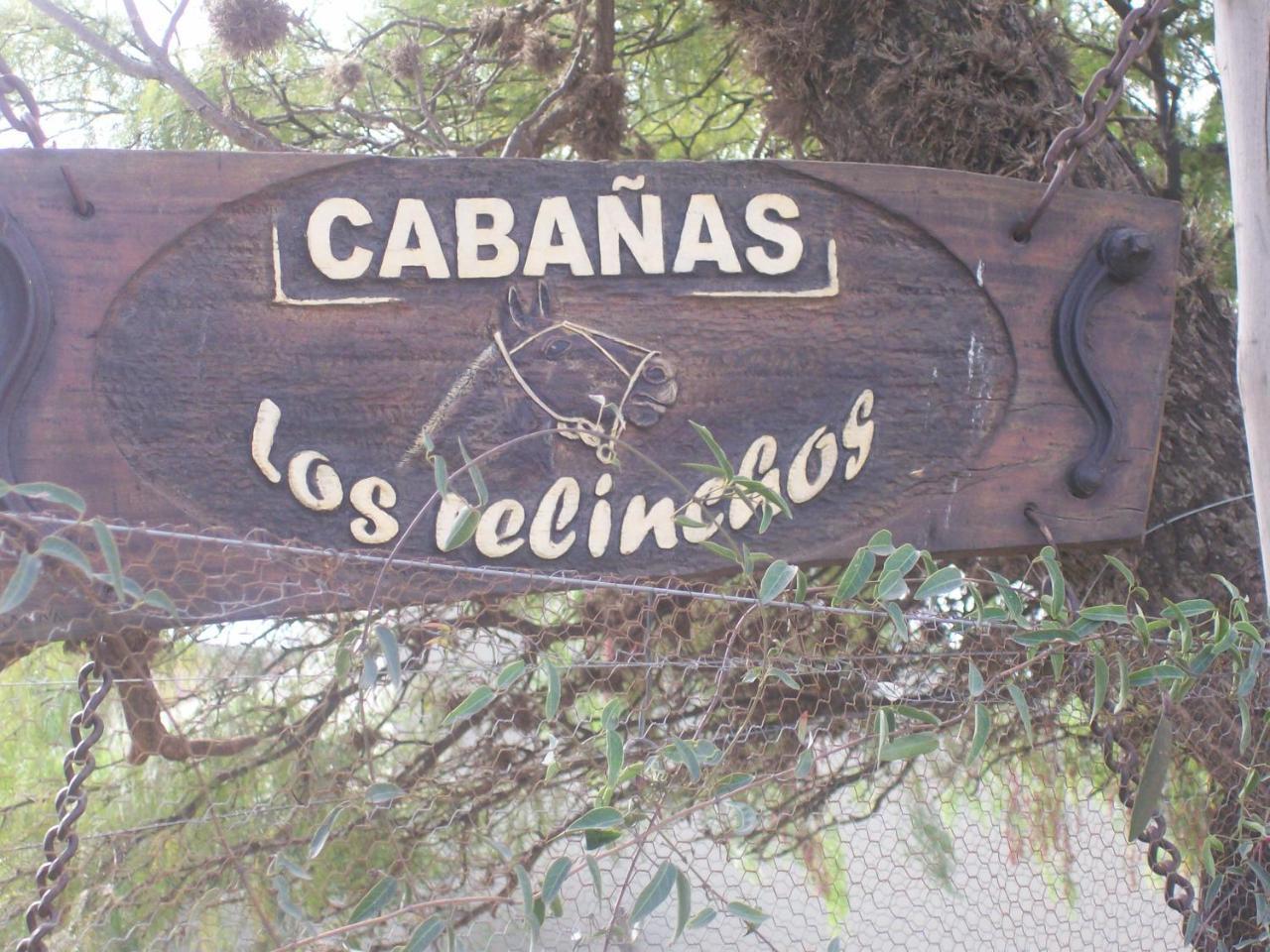 Relinchos Capilla del Monte